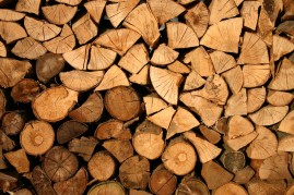 Prodej palivového dřeva photo